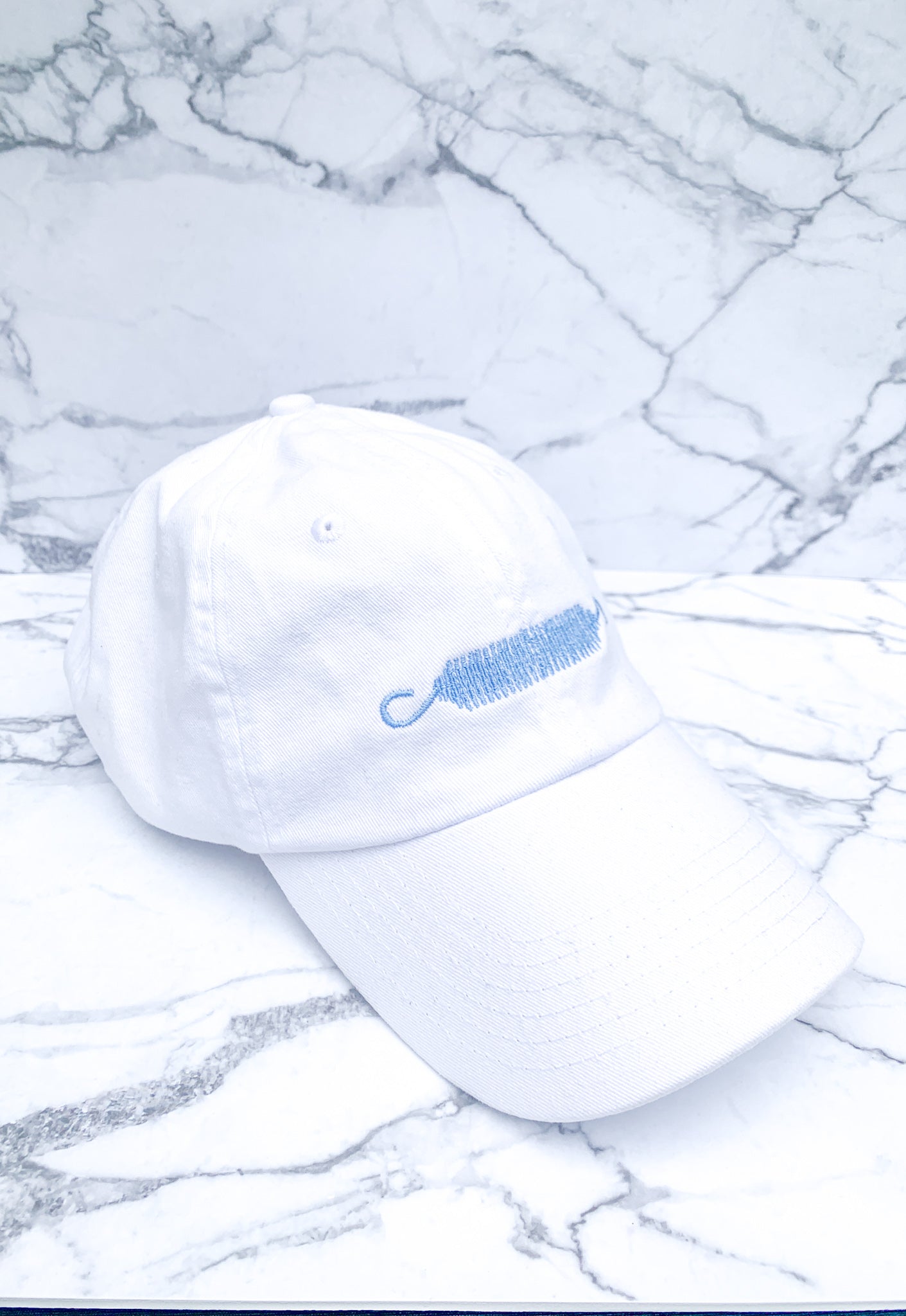 Pilates Spring Dad Hat
