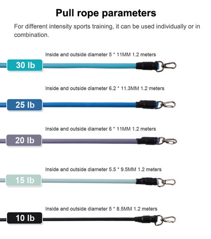 Resistance Fitness Bands