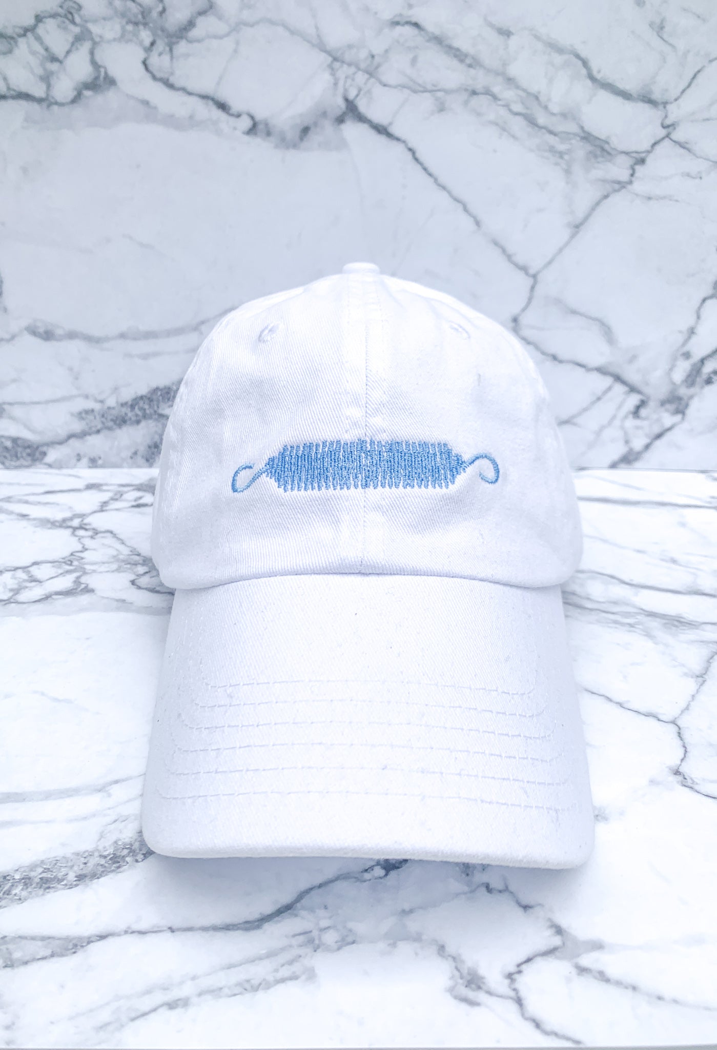 Pilates Spring Dad Hat